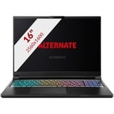 ALTERNATE Thunderstorm laptops